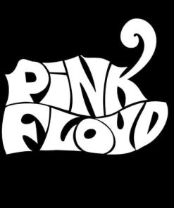 Pink Floyd Vinyl Decal Sticker a1