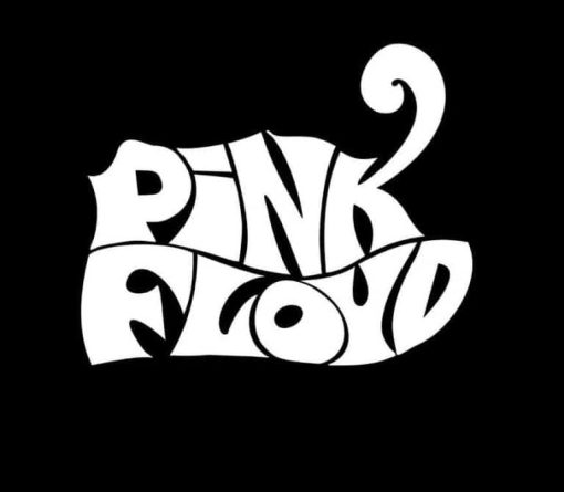 Pink Floyd Vinyl Decal Sticker a1