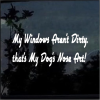 Window's Aren't Dirty 's Nose Art Window Decal Sticker
