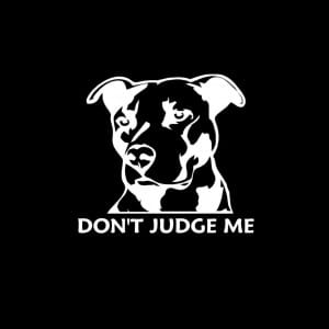 Don't Judge me pitbull pit bull Vinyl Decal Stickers