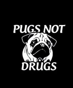 Pugs not Drugs Vinyl Decal Stickers