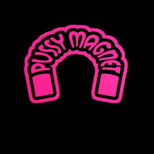 Pussy Magnet JDM Vinyl Decal Stickers a2