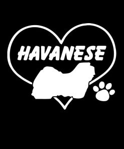Love My Havanese Vinyl Decal Stickers