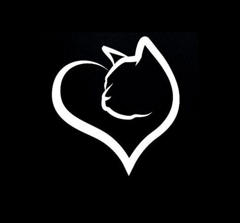 Cat Heart Love Decal – Cat Stickers