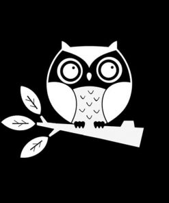 Owl Owls Vinyl Decal Stickers a1