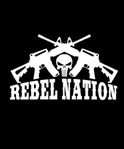 Punisher Rebel Nation Crossed Ar Vinyl Decal Stickers
