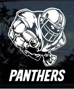Carolina Panthers Football player Window Decal Sticker