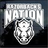Arkansas Razorbacks Nation Decal Sticker