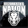 Arkansas Razorbacks Nation Window Decal Sticker