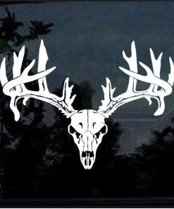 Deer Buck Skull Antlers Hunting Sportsman Decal Sticker