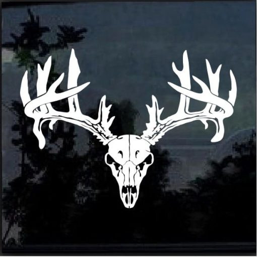 Deer Buck Skull Antlers Hunting Sportsman Decal Sticker