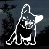 French Bulldog a3 Window Decal Sticker