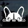 French Bulldog Peeking decal sticker