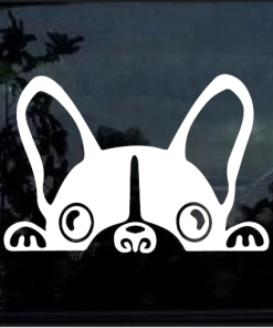 French Bulldog Peeking Window Decal Sticker
