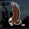 Bald Eagle Full Color Outdoor Decal Sticker