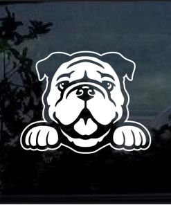 Bulldog Peeking Window Decal Sticker