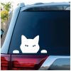 Cat Peeking Cat Window Decal Sticker