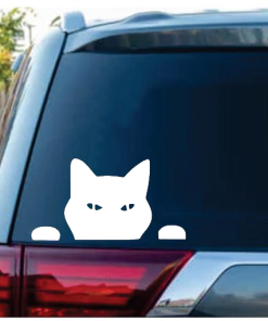Cat Peeking Cat Window Decal Sticker