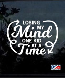 Loosing My Mind one Kid at a Time Decal Sticker