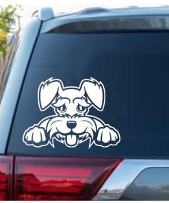 Schnauzer Peeking Window Decal Sticker