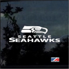 Seattle Seahawks Window Window Decal Sticker