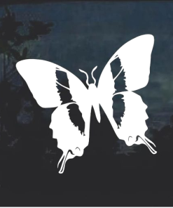 Butterfly window decal Sticker D10