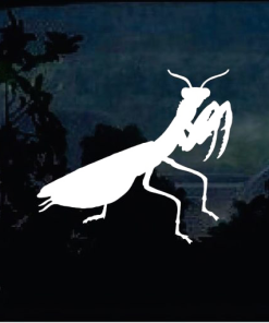 Car Decals – Praying Mantis window decal Sticker