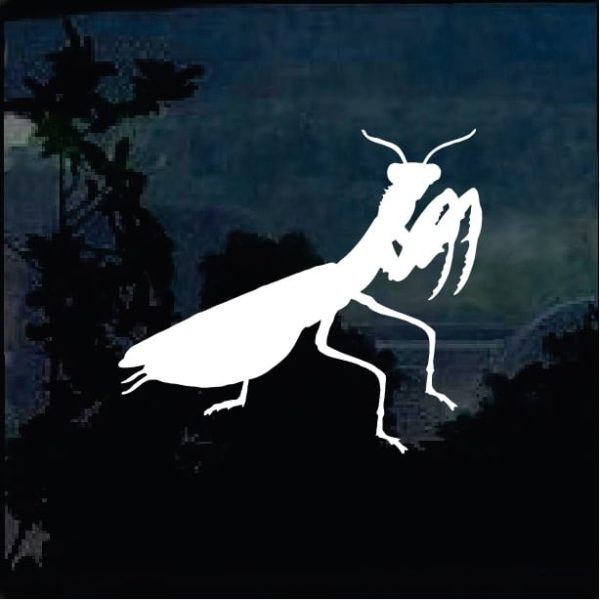 Car Decals – Praying Mantis Sticker