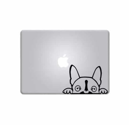 Laptop Stickers - Boston Terrier - Decal