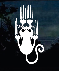 Cat Scratch Cat Window Decal Sticker