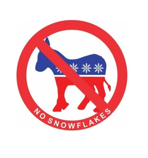 Cool Stickers - No Snowflakes Decal