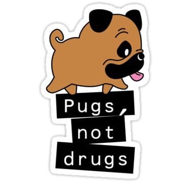 cool stickers - Pugs Not Drugs decal