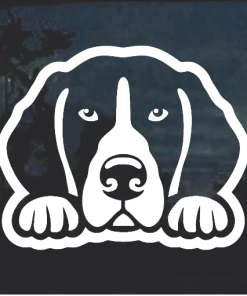 Beagle Peeking Window Decal Sticker