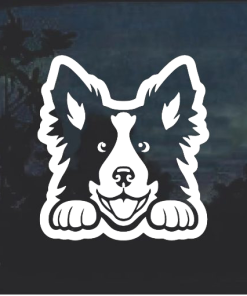 Border Collie Peeking  Window Decal Sticker