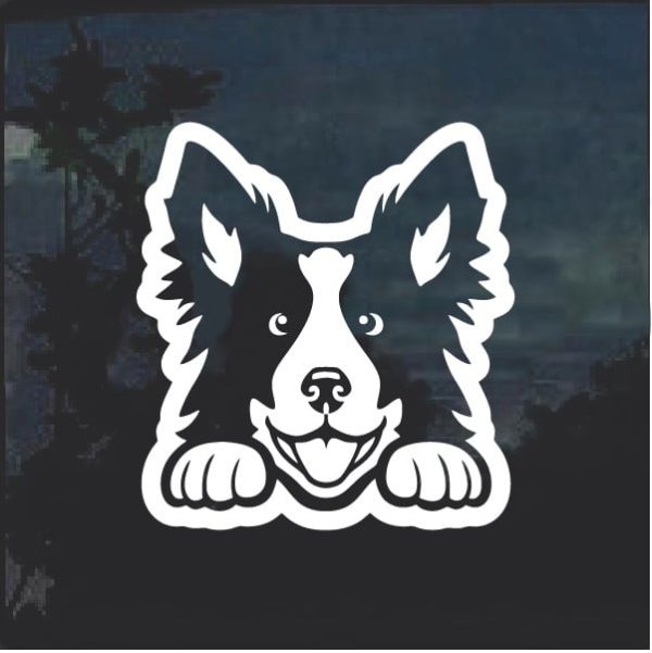 Border Collie Peeking Dog Window Decal Sticker