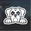 Boxer Peeking Dog Window Decal Sticker
