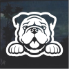 Bulldog Peeking Window Decal Sticker