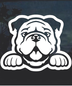 Bulldog Peeking Window Decal Sticker