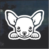 Chihuahua Peeking Window Decal Sticker
