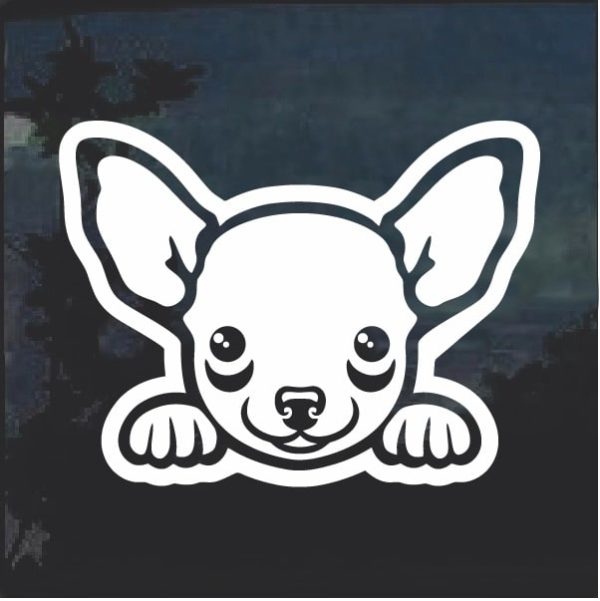 Chihuahua Peeking Dog Window Decal Sticker