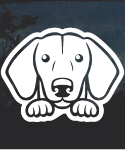 Dachshund Peeking a2 Window Decal Sticker