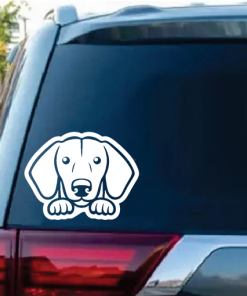 Dachshund Peeking a2 Window Decal Sticker