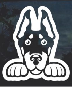Doberman Pinscher Peeking Dog Window Decal Sticker