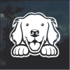 Golden Retriever Peeking Window Decal Sticker