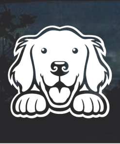 Golden Retriever Peeking Window Decal Sticker