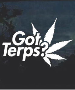 Got Terps Marijuana Cannabis Window Decal Sticker