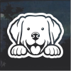Labrador Retriever Peeking Window Decal Sticker