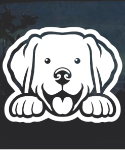 Labrador Retriever Peeking Window Decal Sticker
