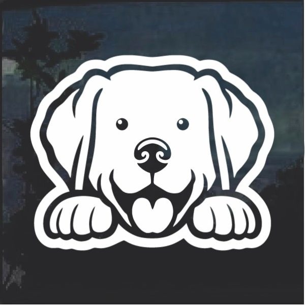 Labrador Retriever Peeking Dog Window Decal Sticker