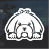 Maltese Peeking Dog Window Decal Sticker